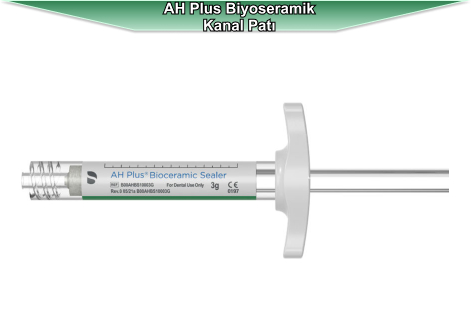 AH Plus Biyoseramik Kanal Patı