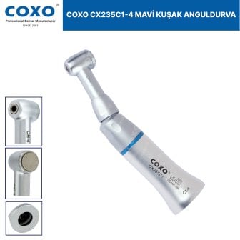 coxo anguldurva