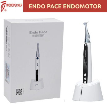 woodpecker ENDO PACE ENDO MOTOR