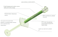 ﻿NuSmile NeoPUTTY Bioseramik içerikli MTA